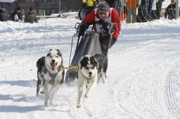 Lenk 2012 SM